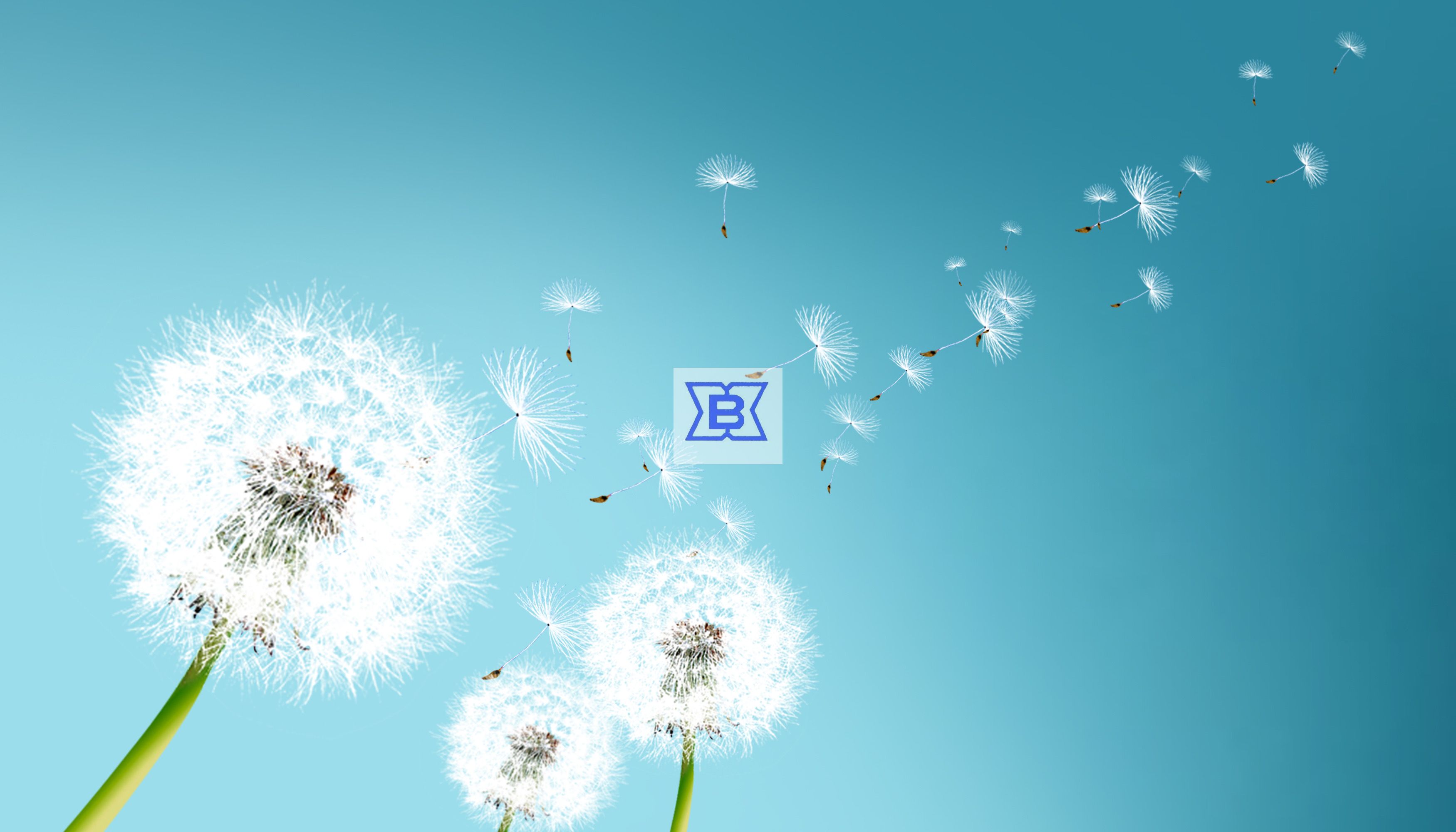 永鑫国际(中国游)有限公司官网